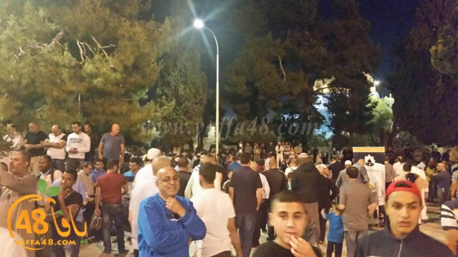 a7bab aqsaka (2).JPG